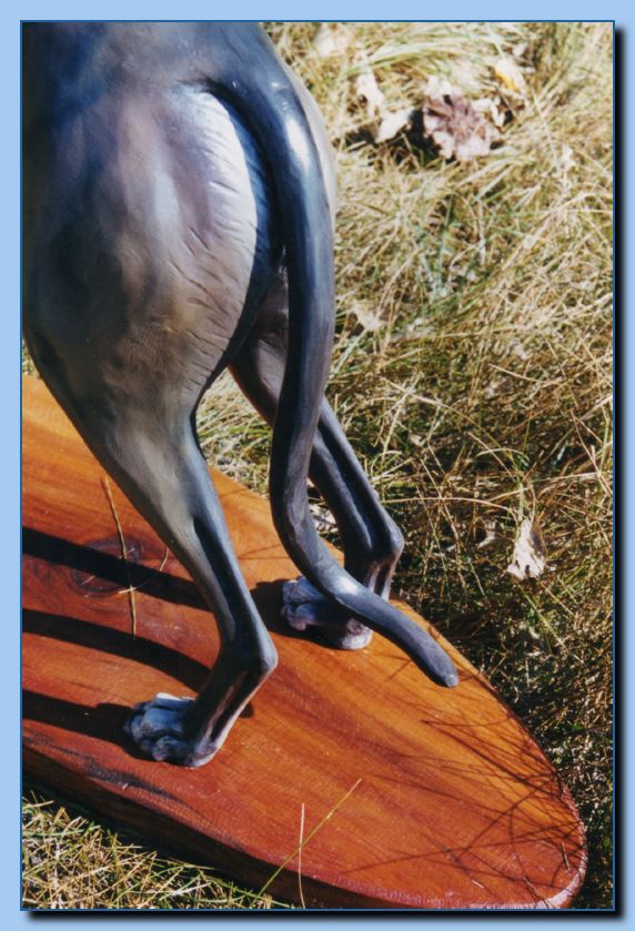 2-48 animal portrait-archive-0001